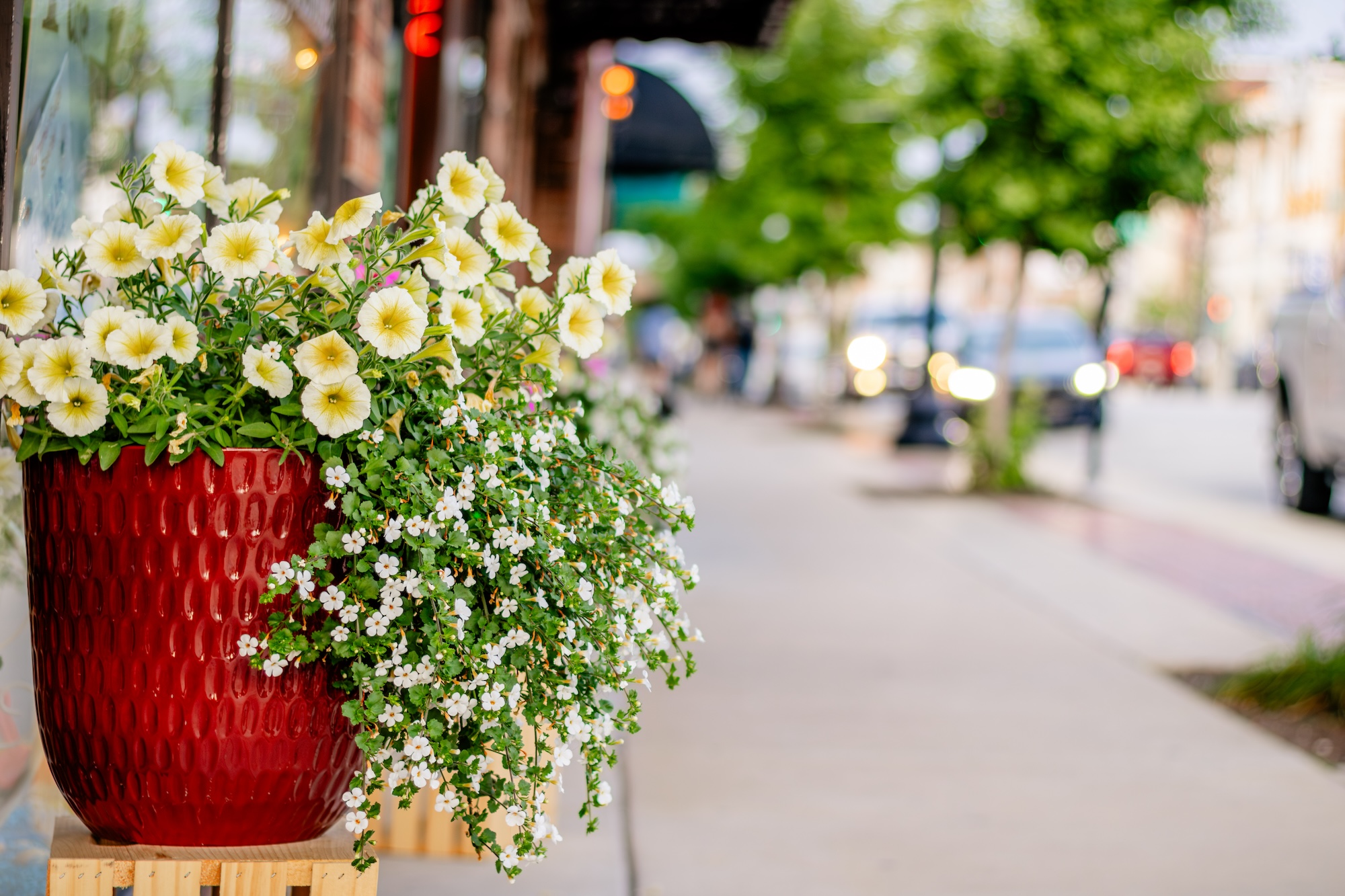 About - Downtown Indiana